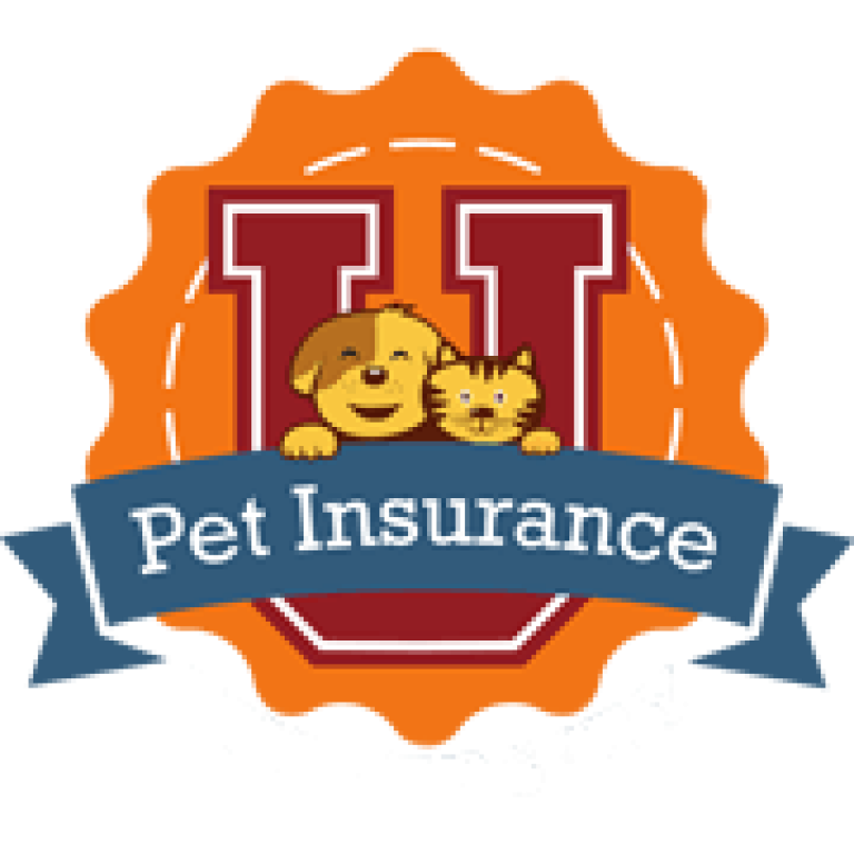 Fetch (formerly Petplan) Pet Insurance vs. Geico Pet Insurance ...