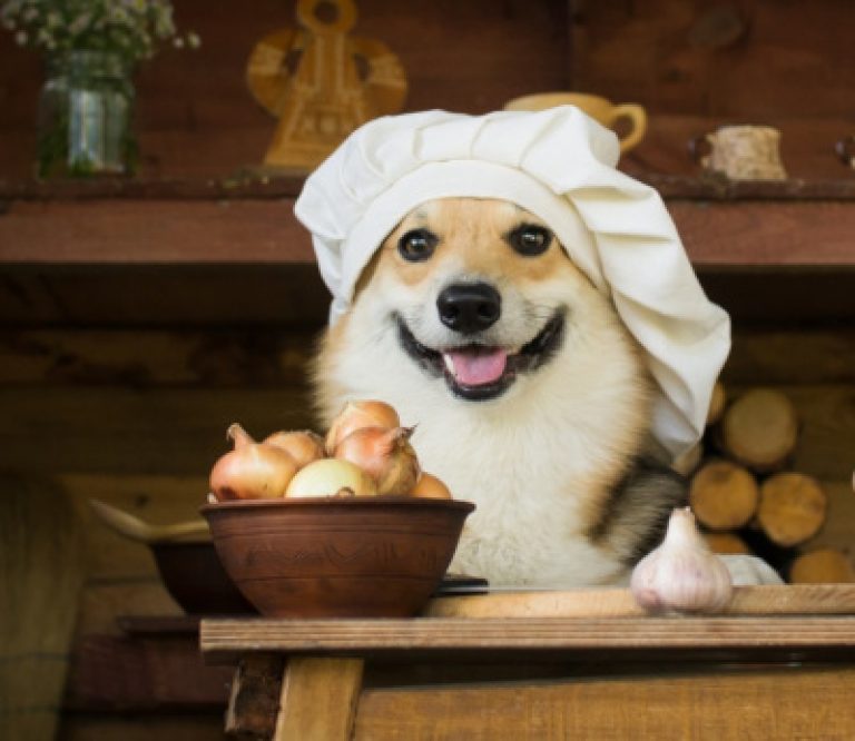 Can Dogs Eat Onions? Are Cooked, Raw, or Fried Onions Bad for Dogs?