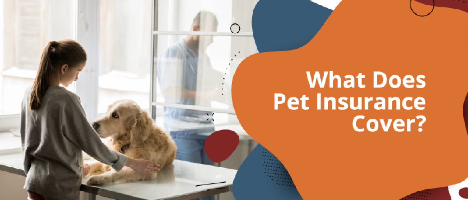 What Does Pet Insurance Cover